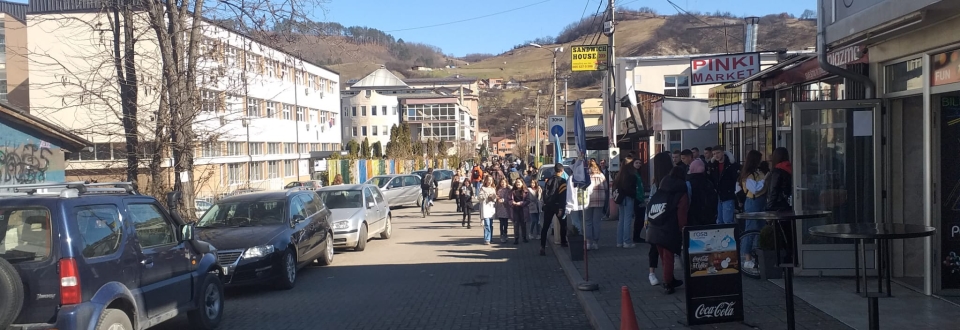 Ulica Vuka Karadžića